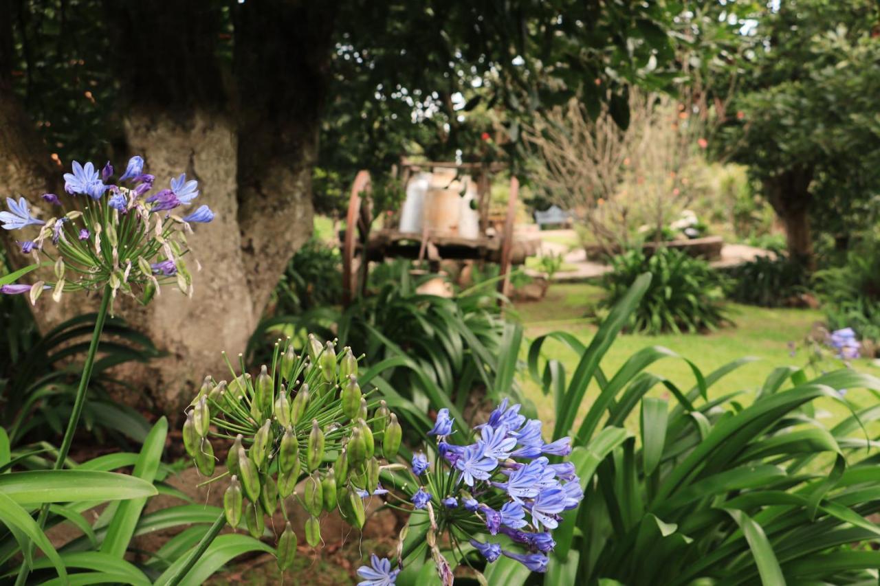 La Huerta Villa Mazamitla Exterior foto